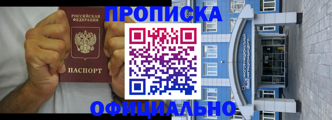 купить прописку в Вельске